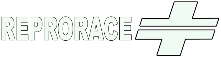 Professional ECU remapping for your vehicle | ReproRACE